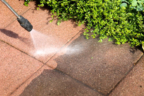 Best Roof Pressure Washing  in Montpelier, VT
